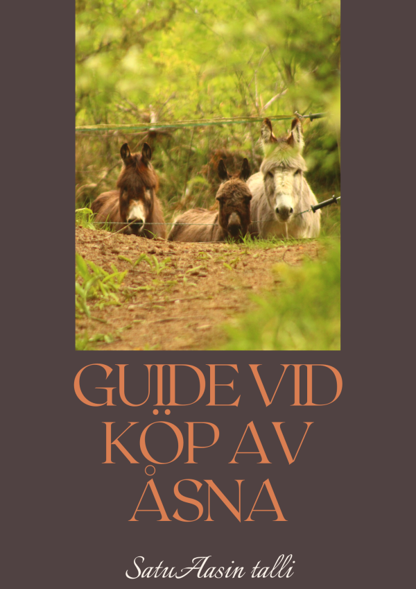 Guide vid köp av åsna