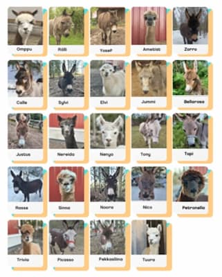 Arvaa kuka- peli, aasiteema